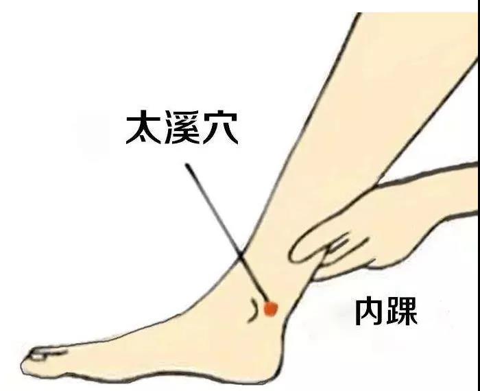 護(hù)腎養(yǎng)腎？這六大穴位就夠了！
